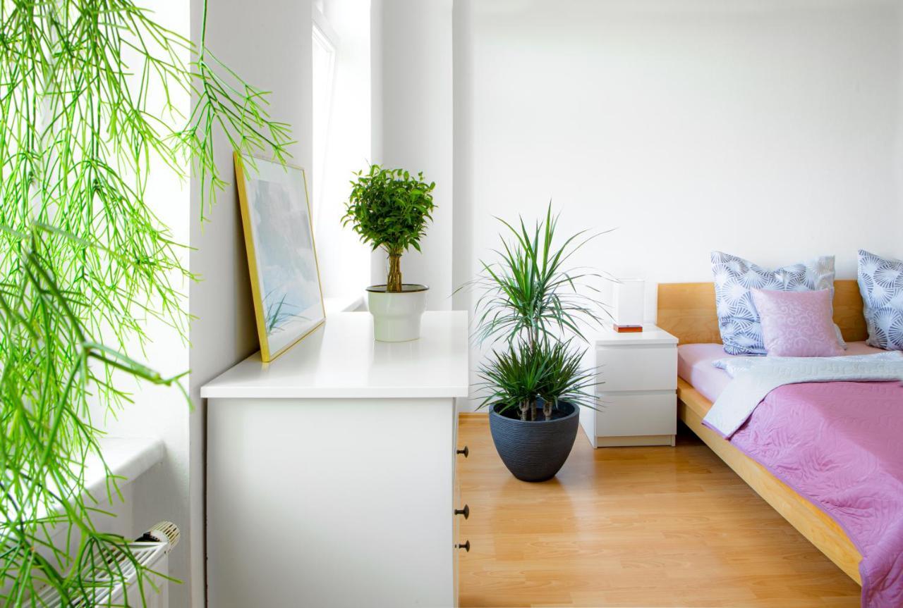5 Min Zur Elbe, Helle Geraeumige 2-Raum-Whg, Neustadt, Top Lage Dresden Ngoại thất bức ảnh